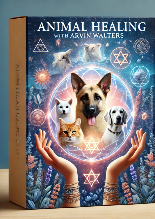 Learn Energy Healing For Animals